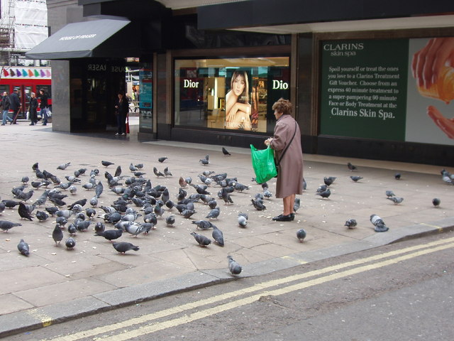Woman feeding pigeons by Oxford Street department store